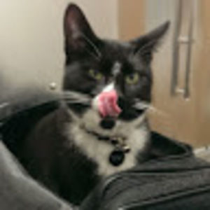 Meet your Posher, Leslie